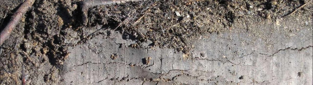 Oljeforurenset masse. Foto.