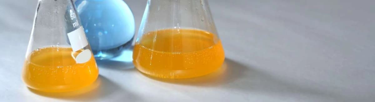 Reagensglass med væske. Foto.