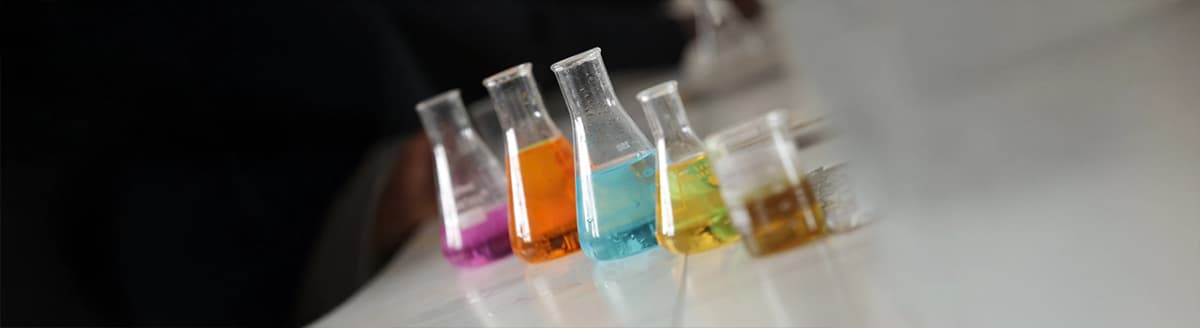 Reagensglass med væske. Foto.