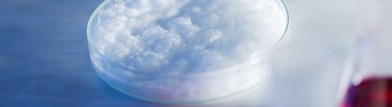 science, chemistry and people concept - close up of foaming chemical in petri dish on laboratory table